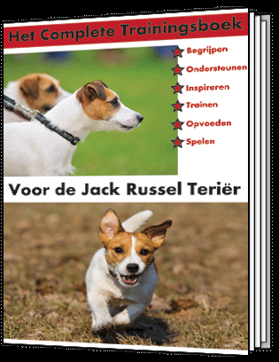 Het complete trainingsboek voor de Jack Russel Terrier.