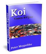 Koi Vijver hobby.